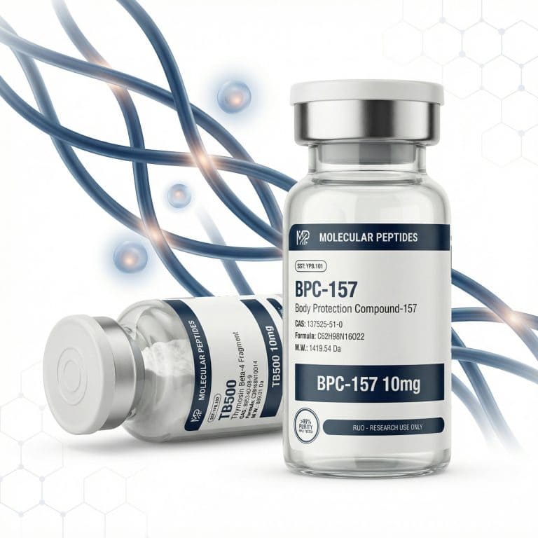 Tissue Modeling Research